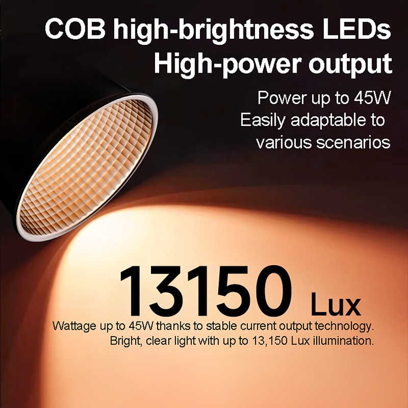 60W RGB Video Light Portable L - đánh giá và giá Photography Lighting Rgb